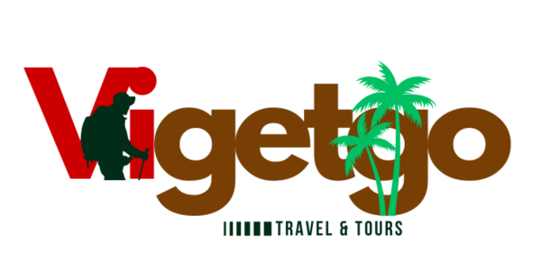 vigetgotours.com